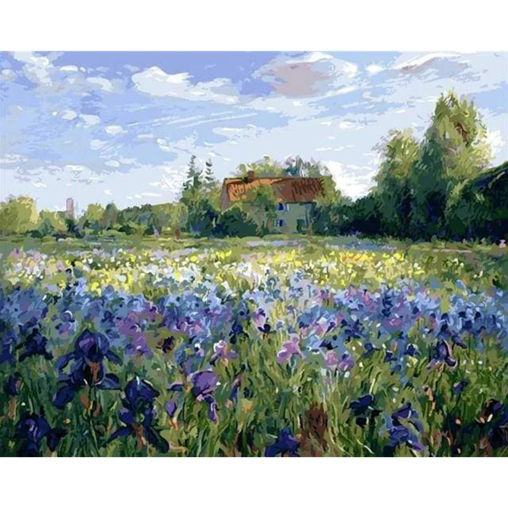 Countryside Field & Blue Flowers – Paint by Numbers Kit